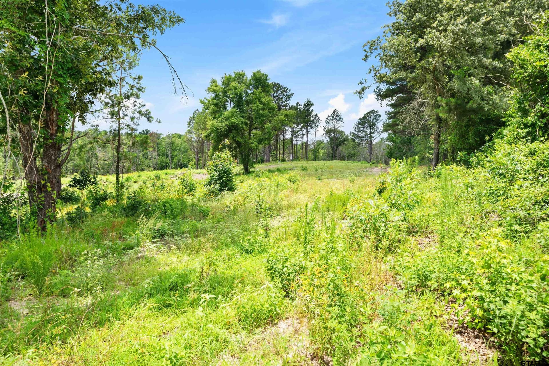 15 acres in Smith County - photo 13