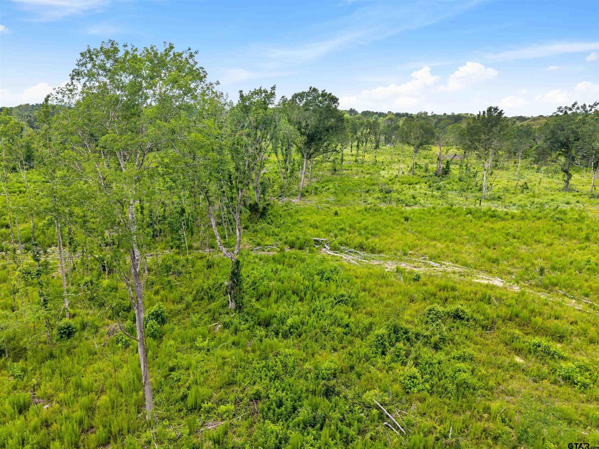 15 acres in Smith County - photo 8