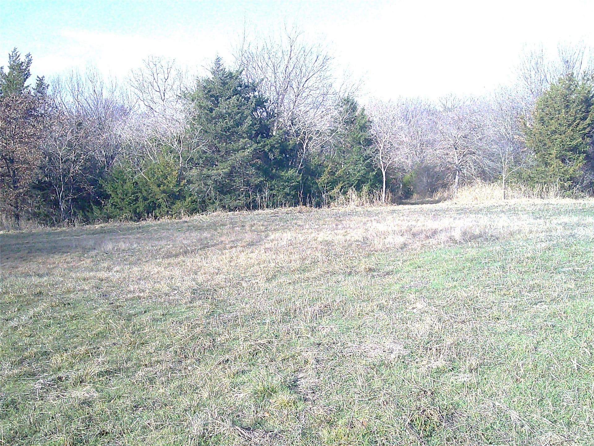 8.55 acres in Montague County - photo 4