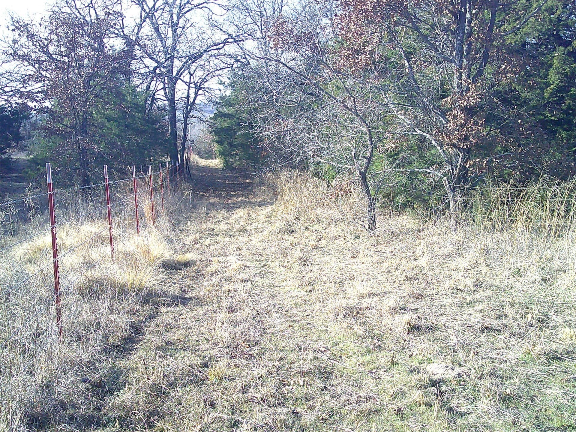 8.55 acres in Montague County - photo 2
