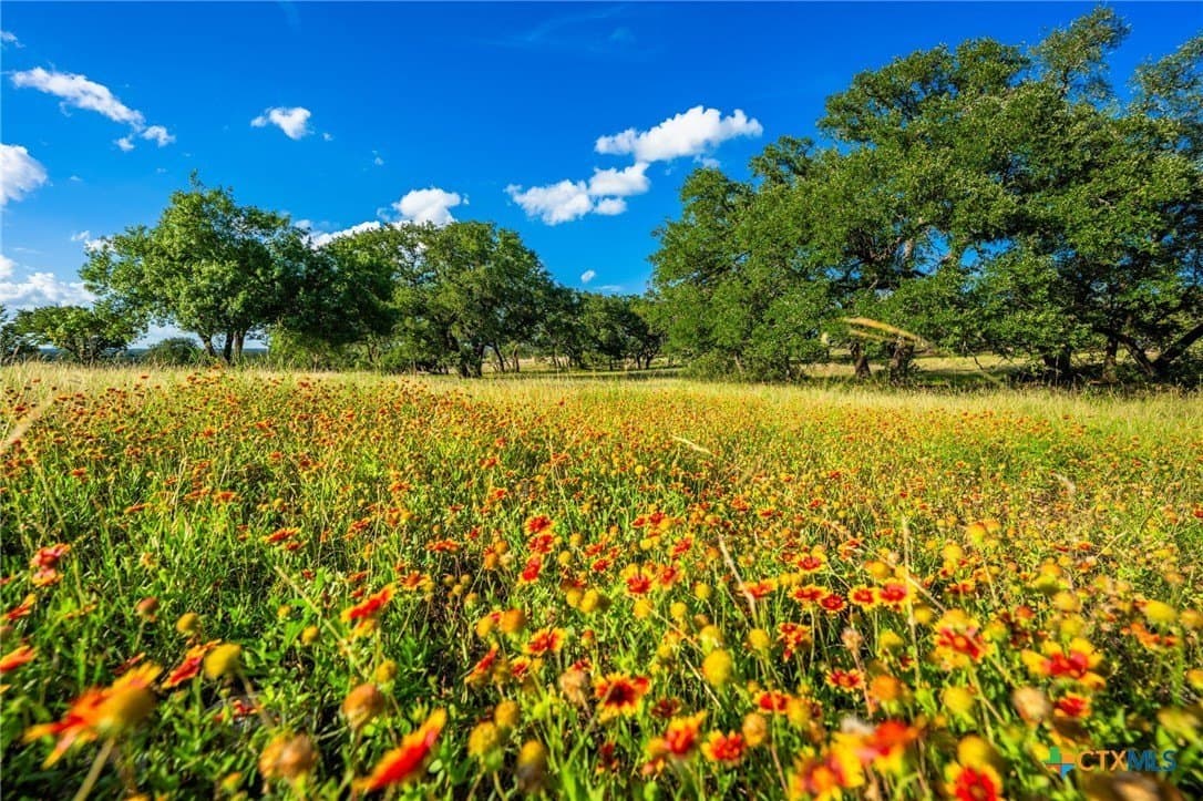 97.92 acres in Burnet County - photo 35