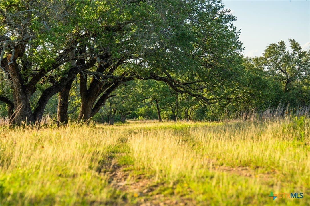 97.92 acres in Burnet County - photo 39