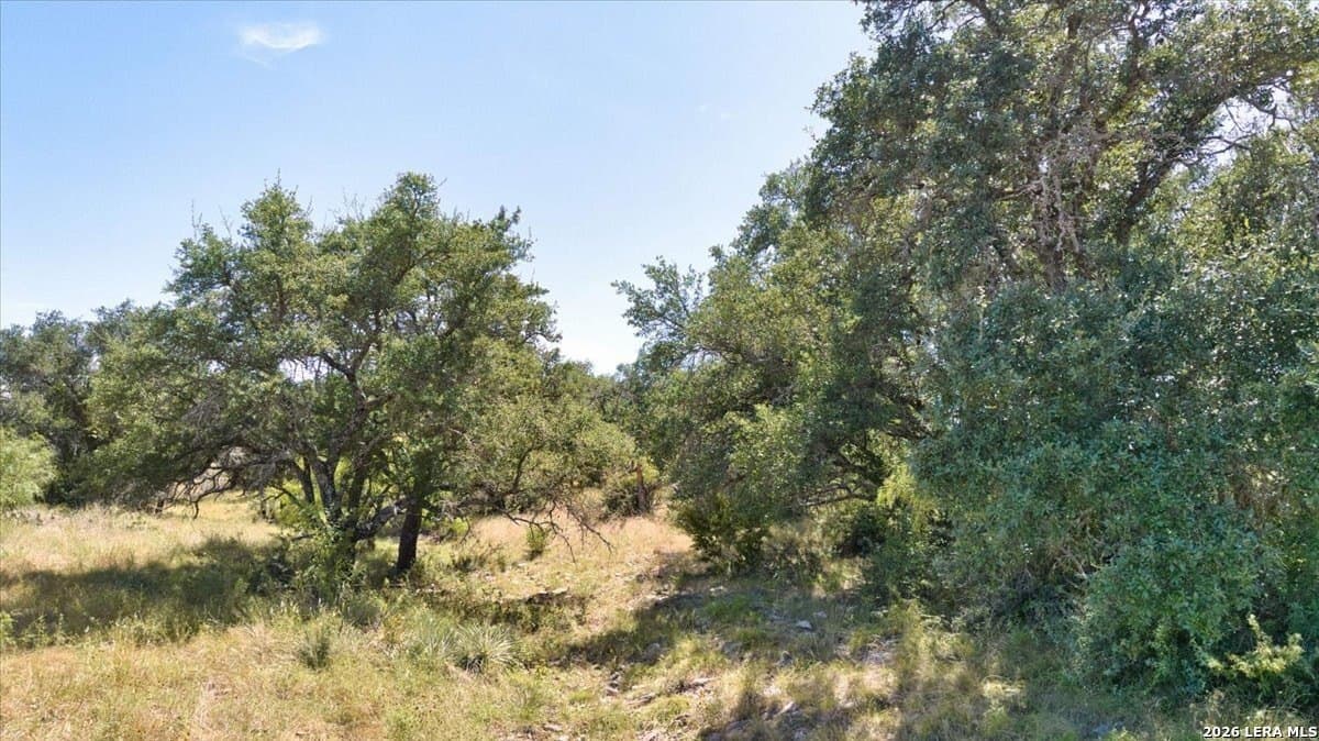 40.8 acres in Menard County - photo 34