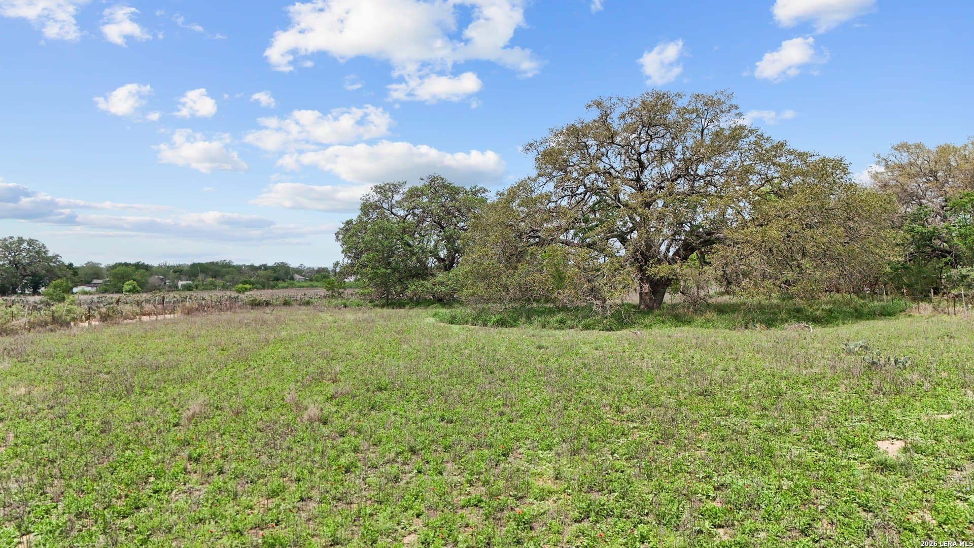 11.4 acres in Medina County - photo 14
