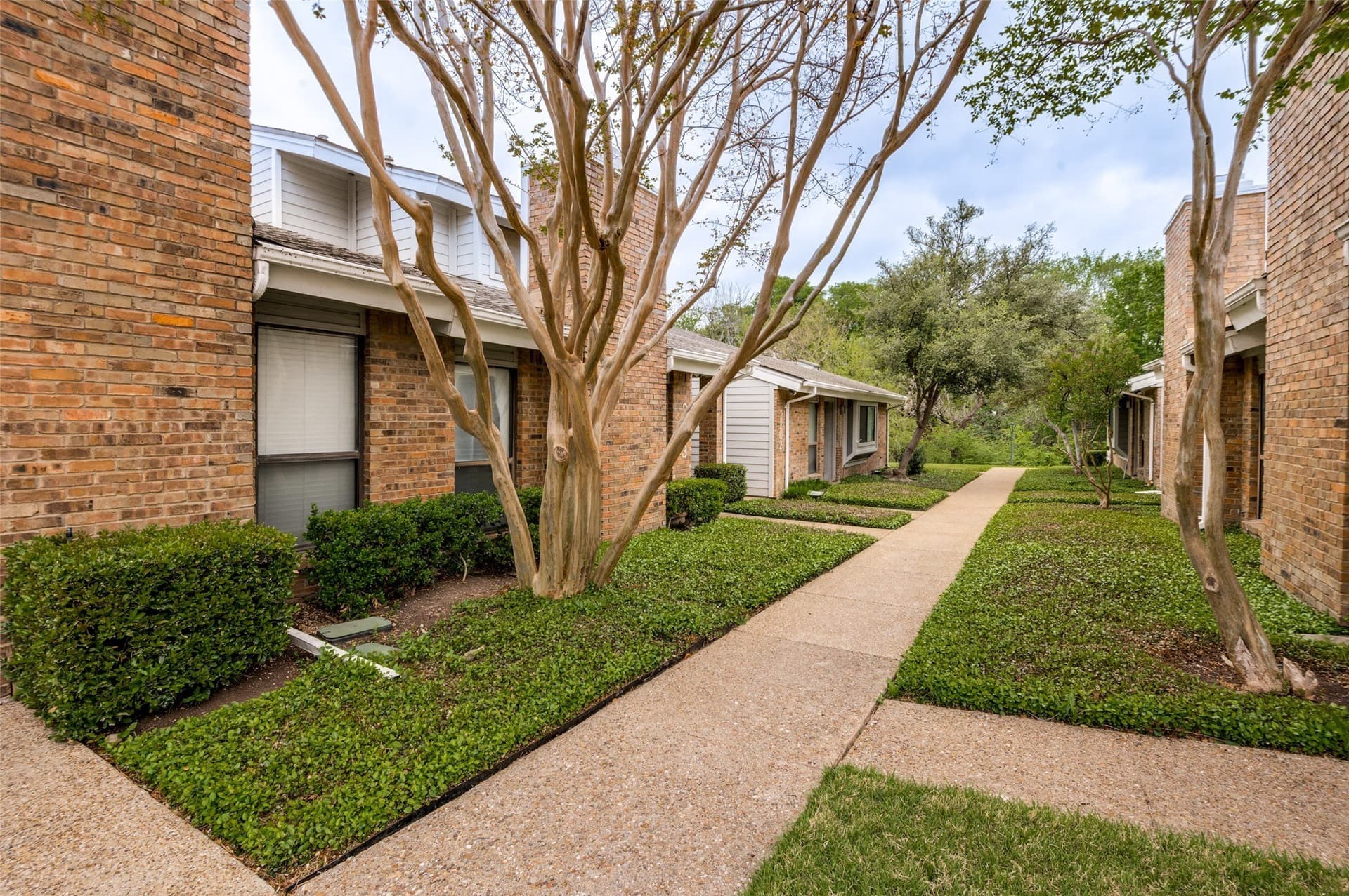 11.35 acres in Collin County gallery image 2