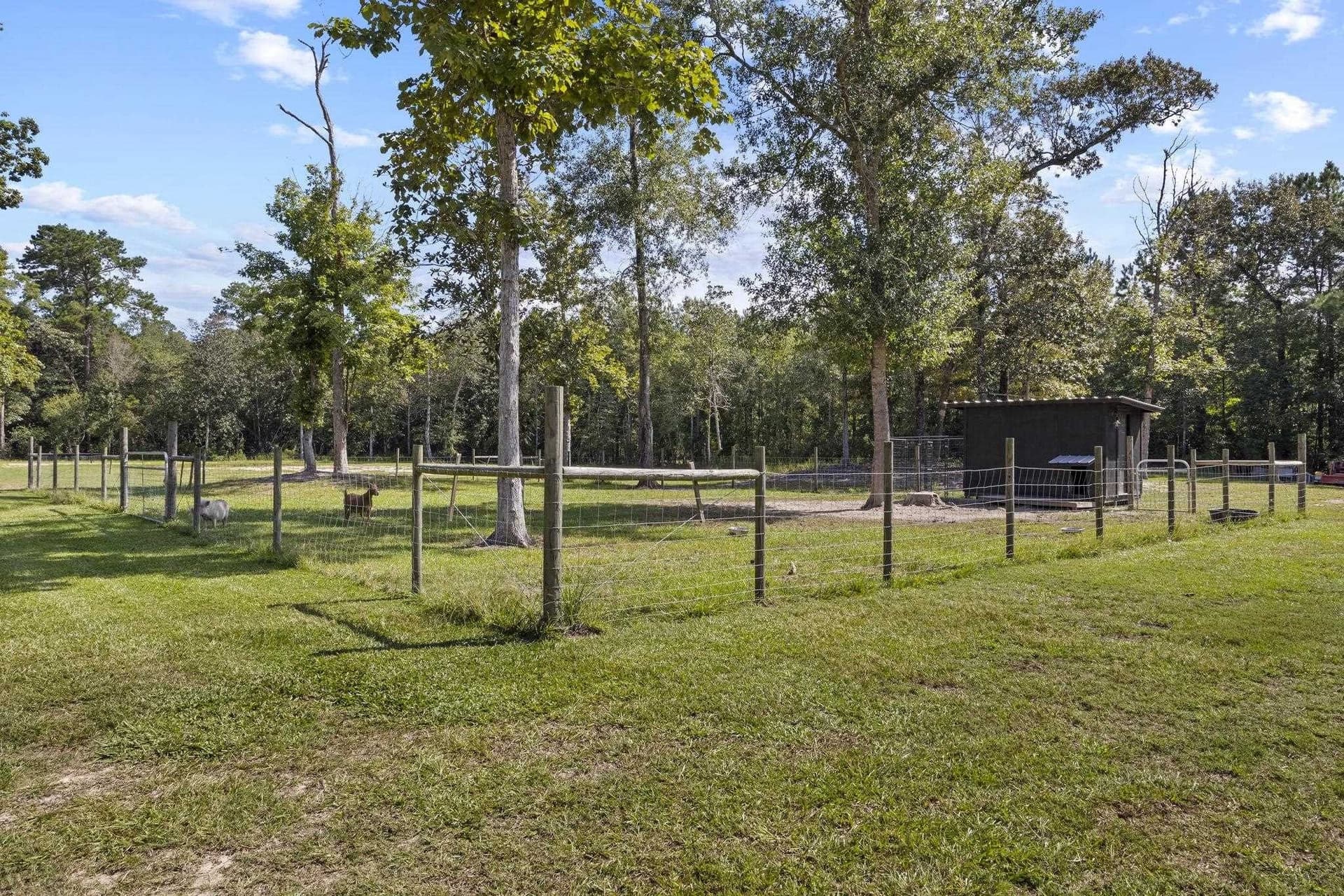 10 acres in Texas County - photo 26
