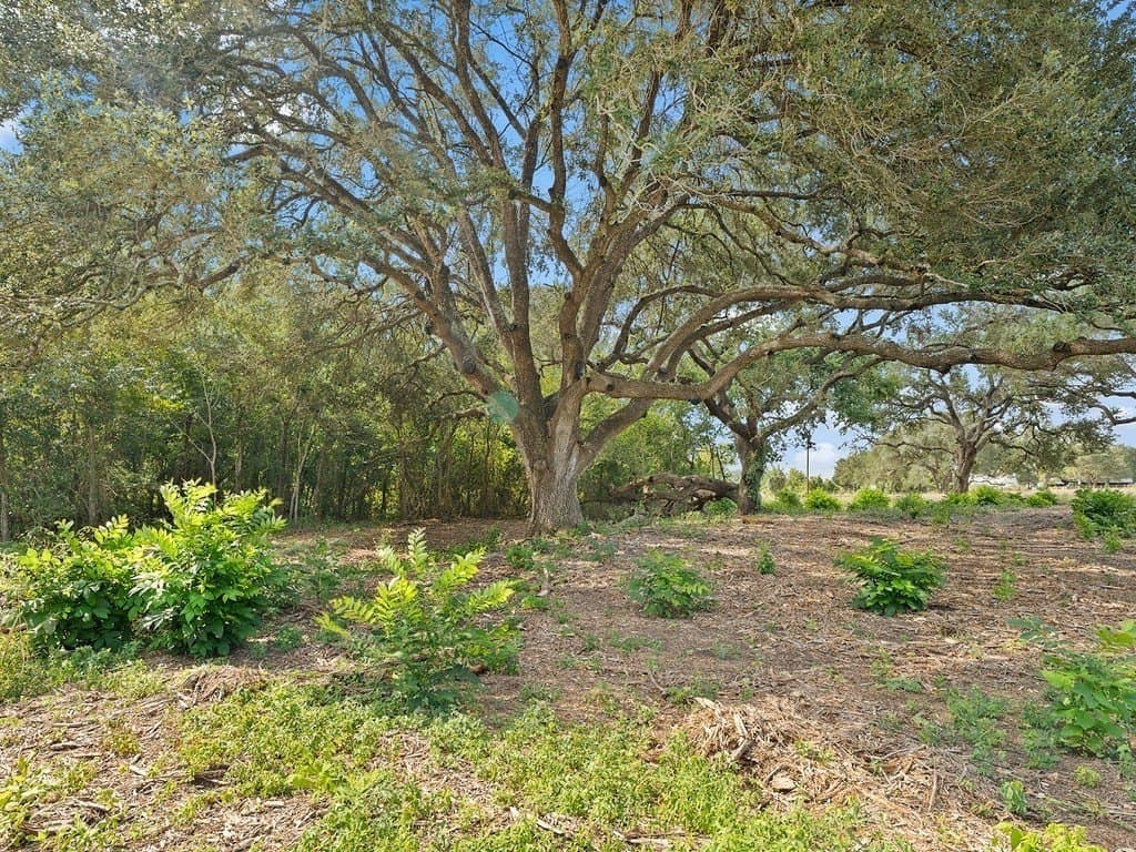 7.65 acres in Fayette County - photo 12