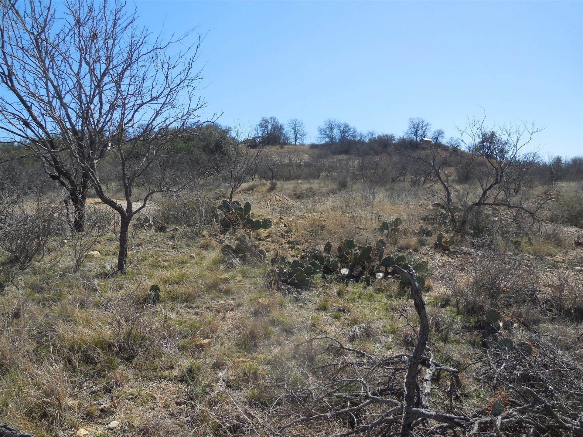 165.12 acres in Eastland County - photo 32