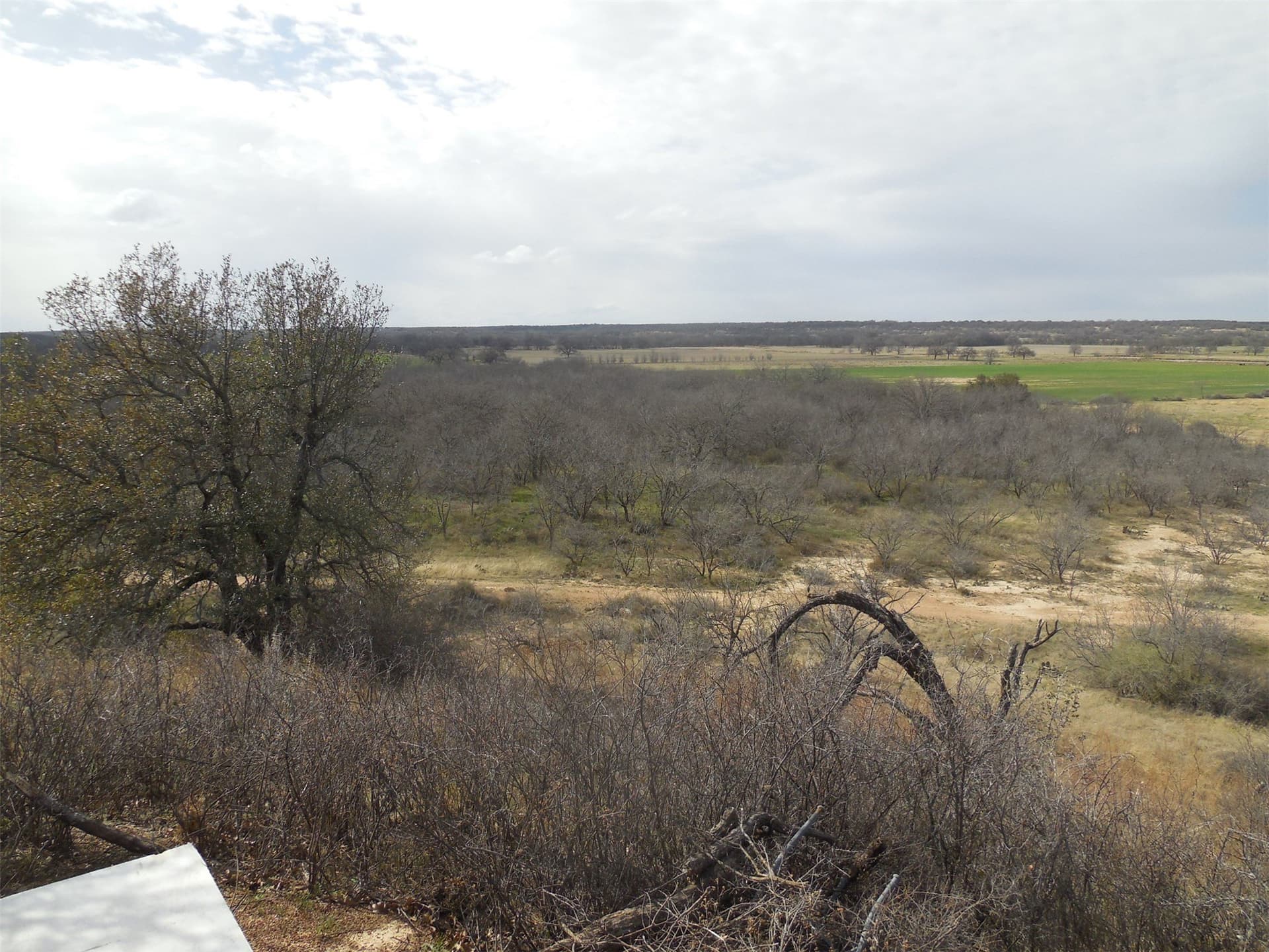 165.12 acres in Eastland County - photo 38