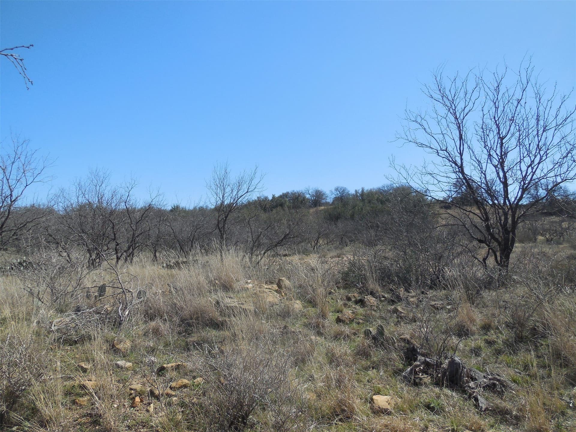 165.12 acres in Eastland County - photo 31