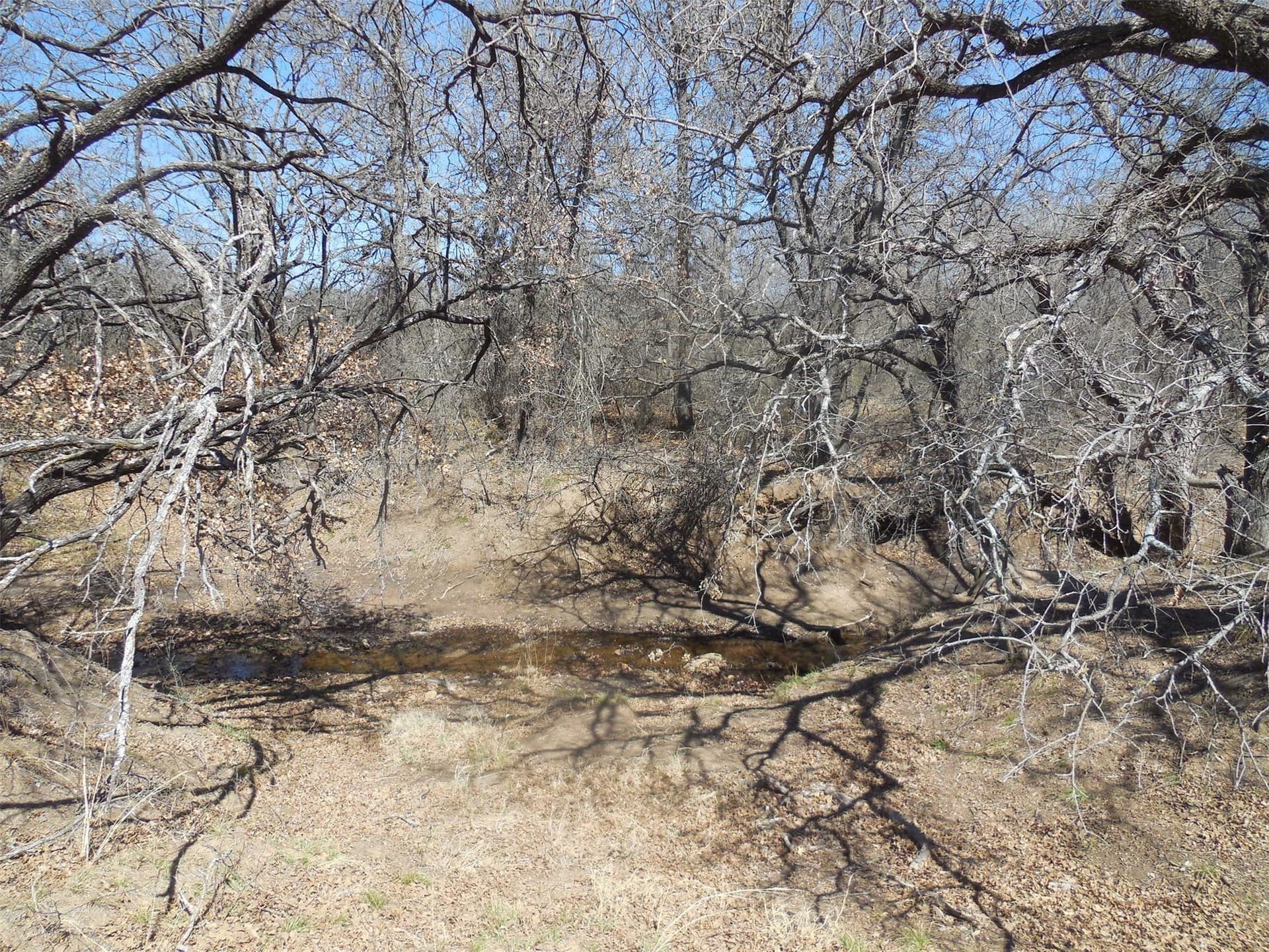 165.12 acres in Eastland County - photo 30