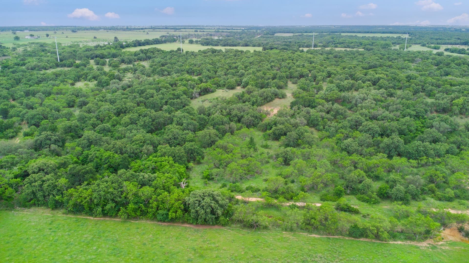 165.12 acres in Eastland County - photo 9
