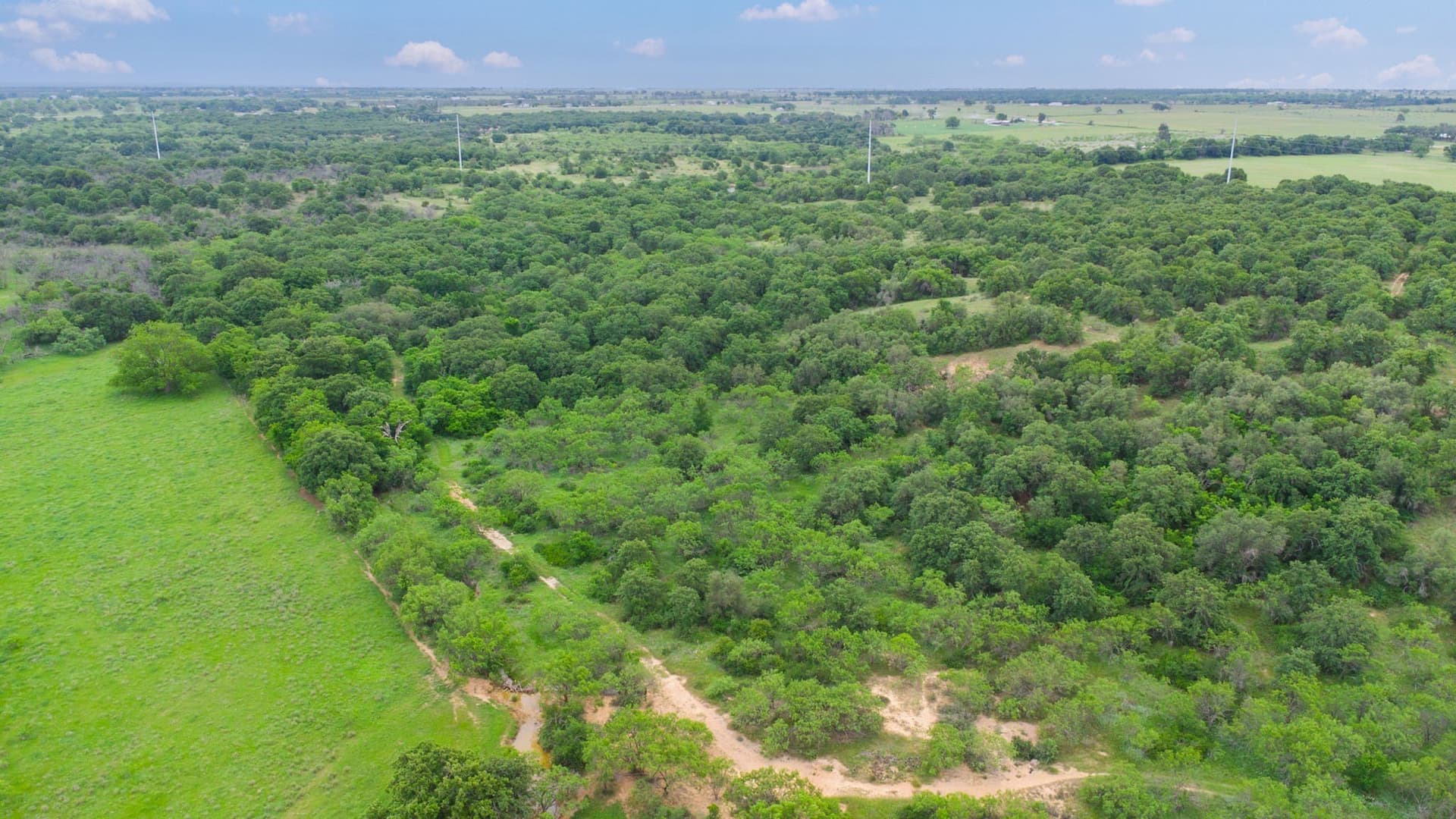 165.12 acres in Eastland County - photo 8