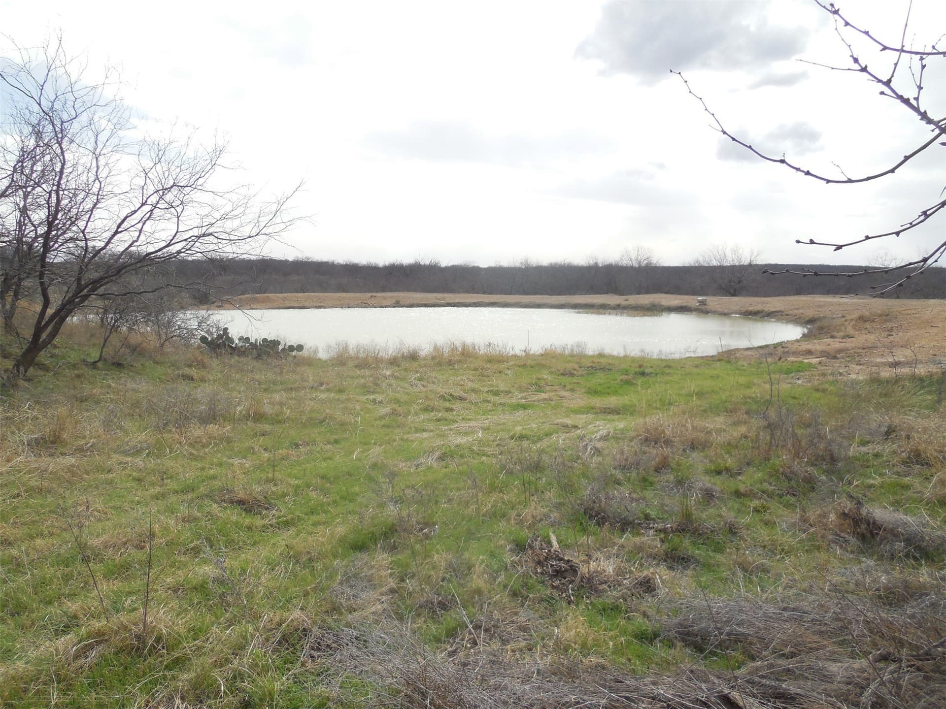 165.12 acres in Eastland County - photo 40