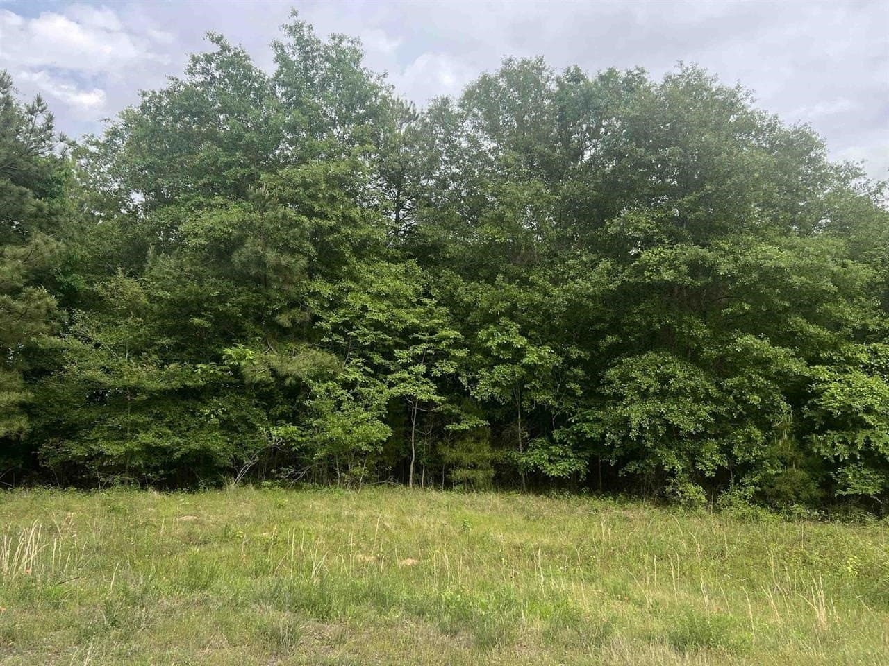 29 acres in Harrison County - photo 6