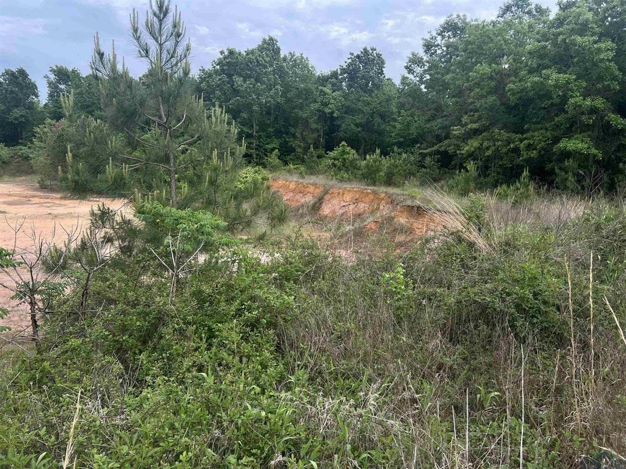 29 acres in Harrison County - photo 9