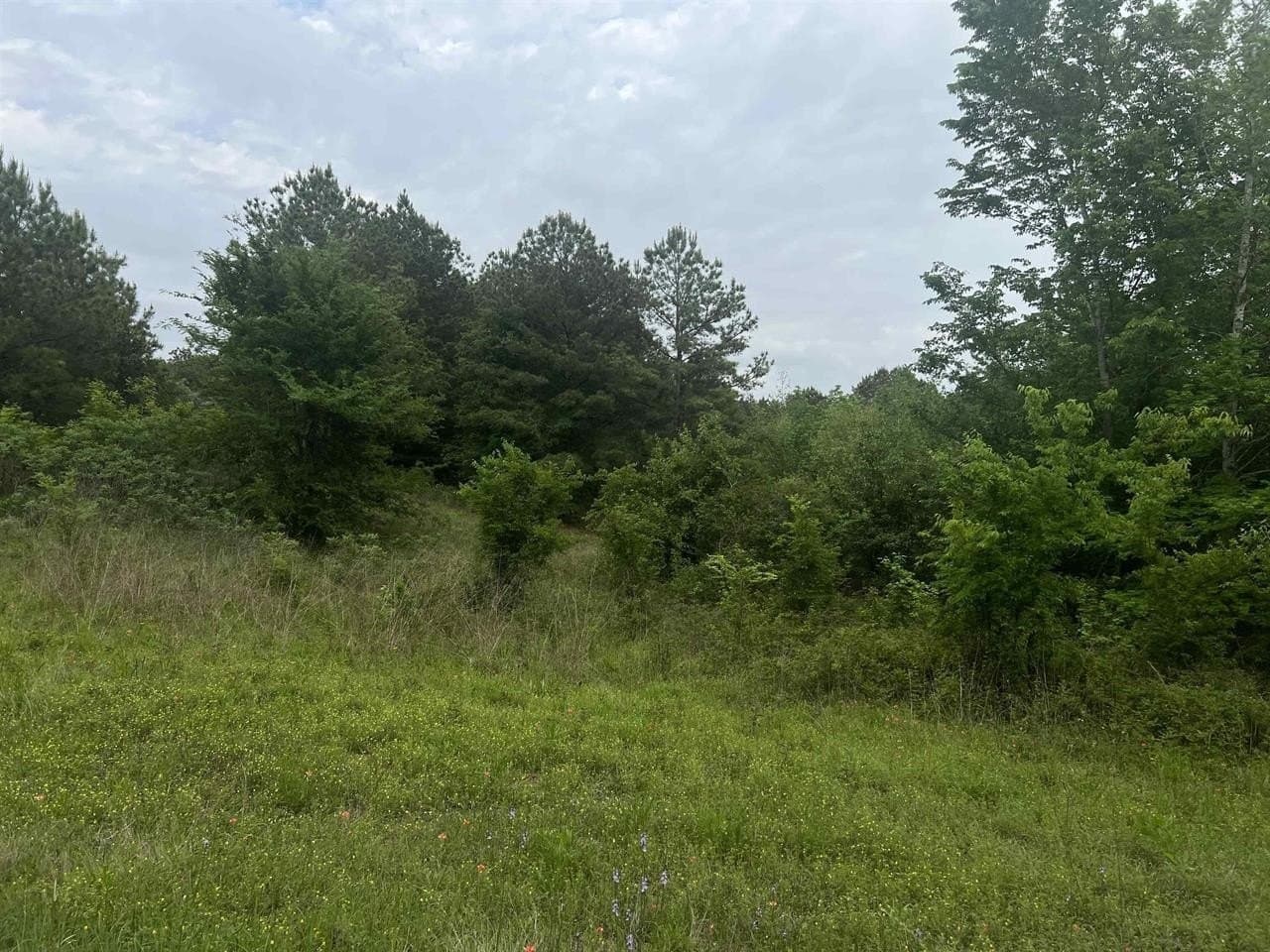 29 acres in Harrison County featured view