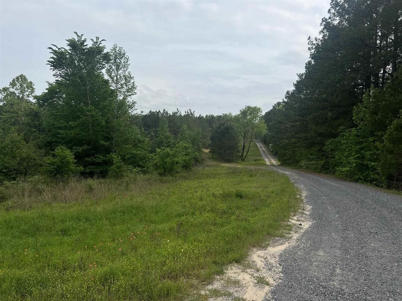 29 acres in Harrison County gallery image 4