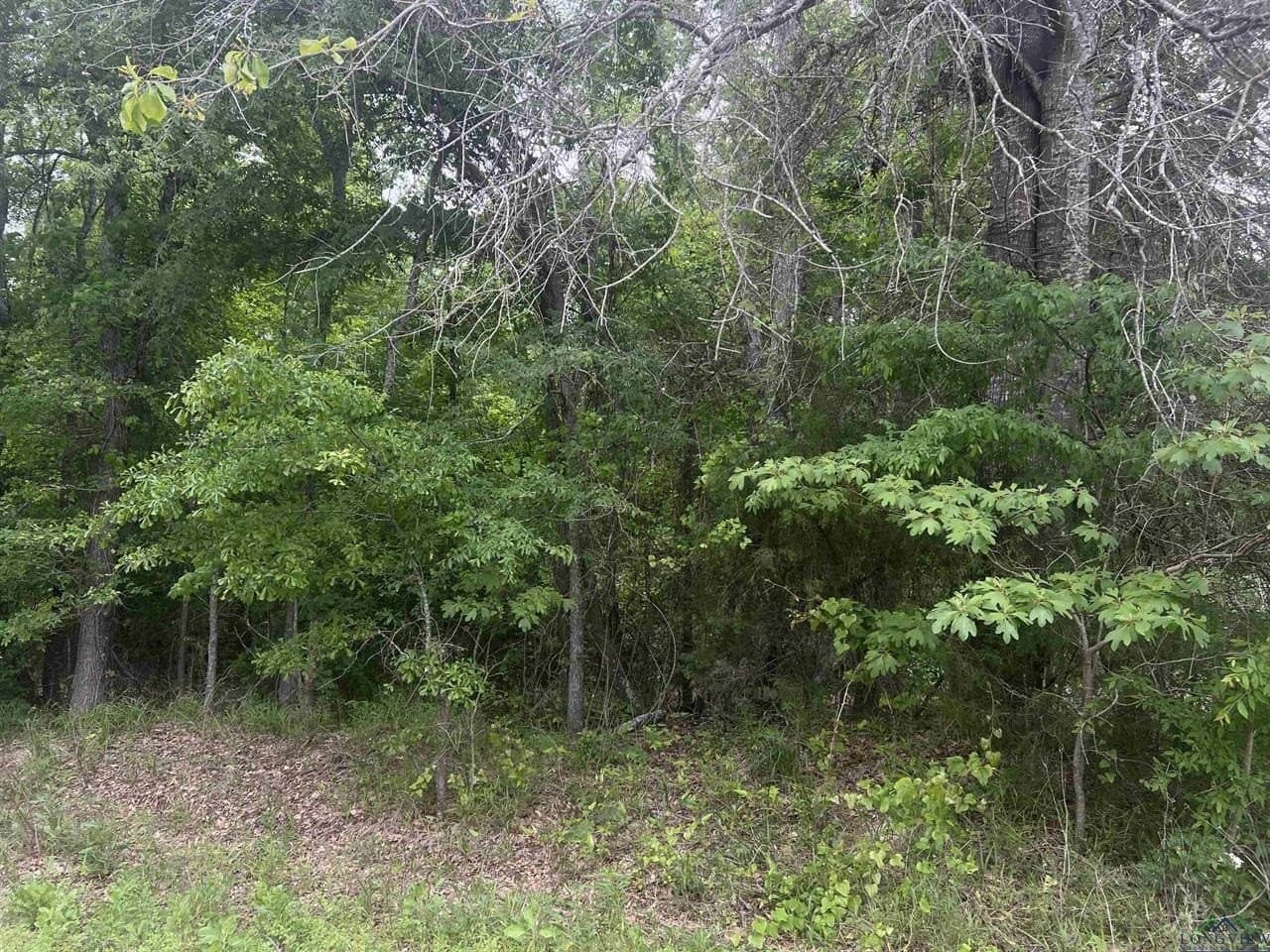 29 acres in Harrison County gallery image 2
