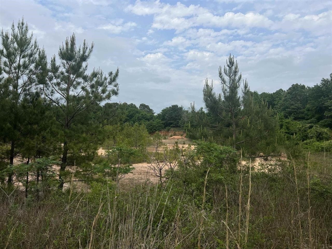 29 acres in Harrison County - photo 10