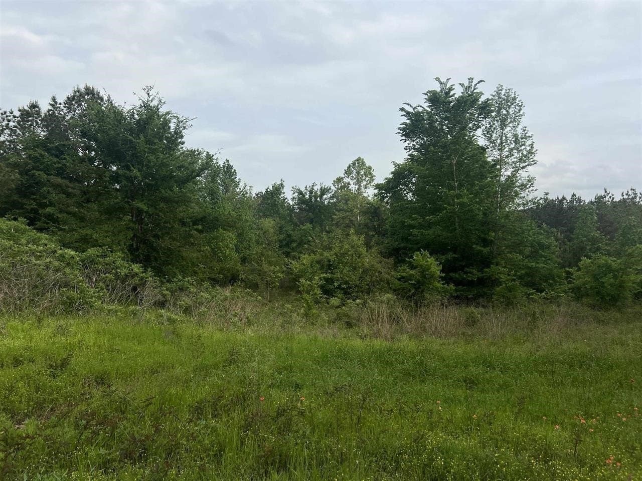 29 acres in Harrison County gallery image 3