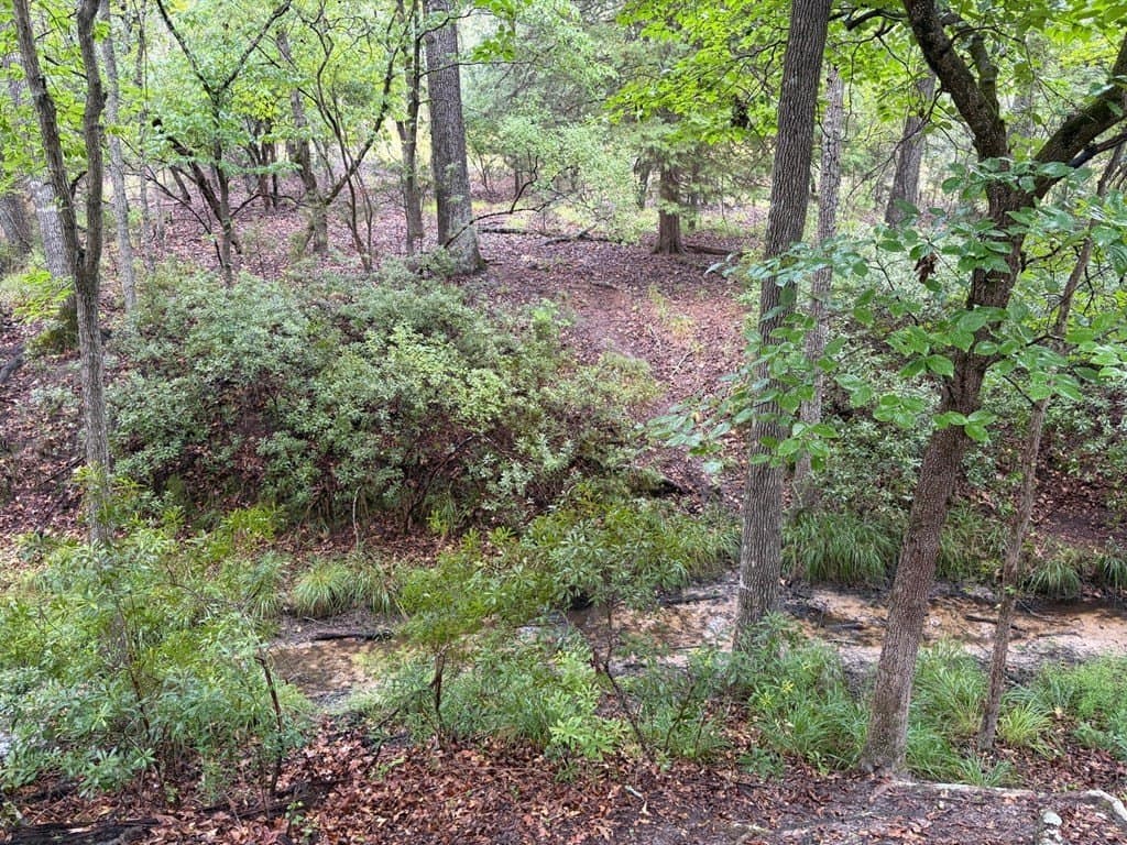 5.01 acres in Henderson County gallery image 4