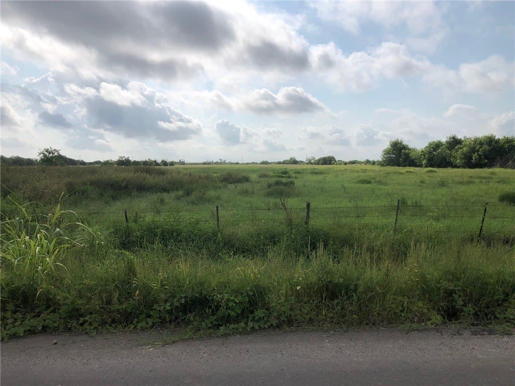 20 acres in Nueces County gallery image 2