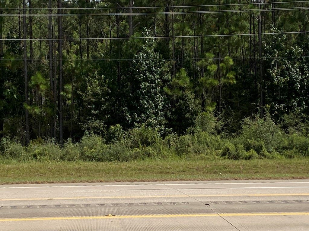 4.22 acres in Texas County gallery image 2