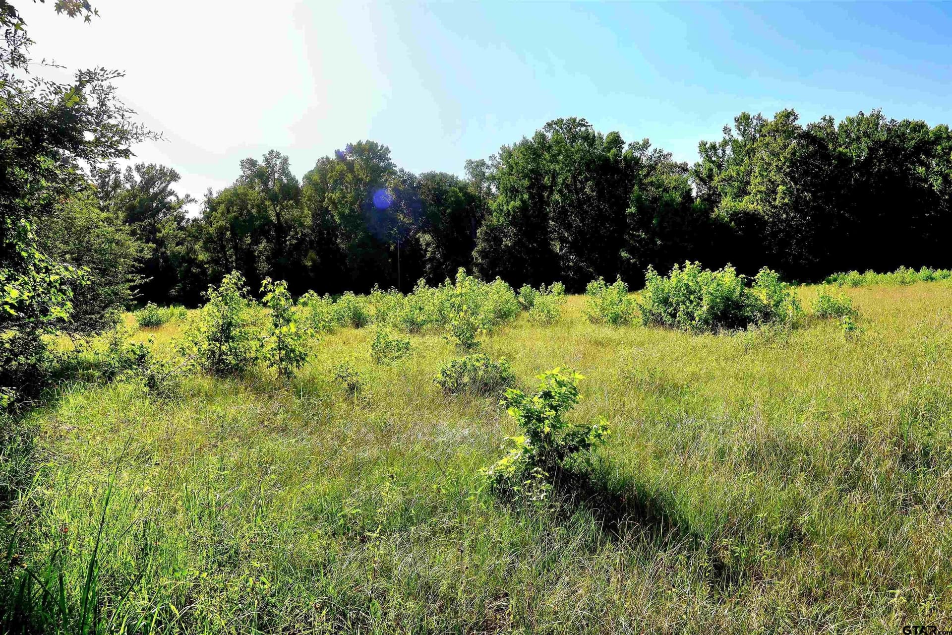 50 acres in Smith County - photo 10