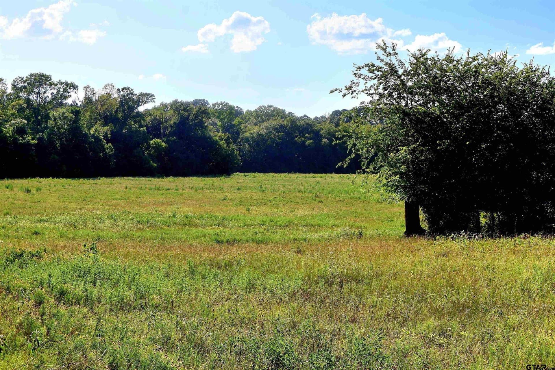 50 acres in Smith County - photo 6