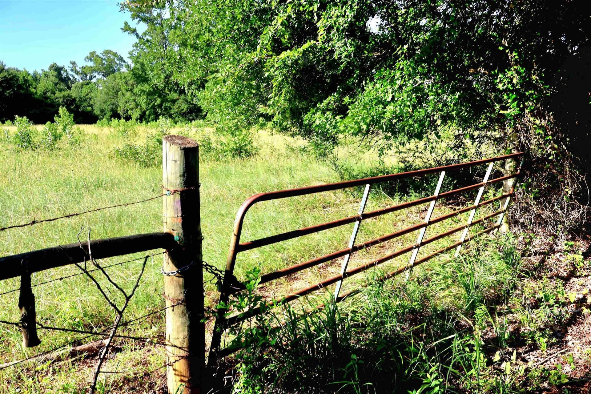 50 acres in Smith County - photo 8
