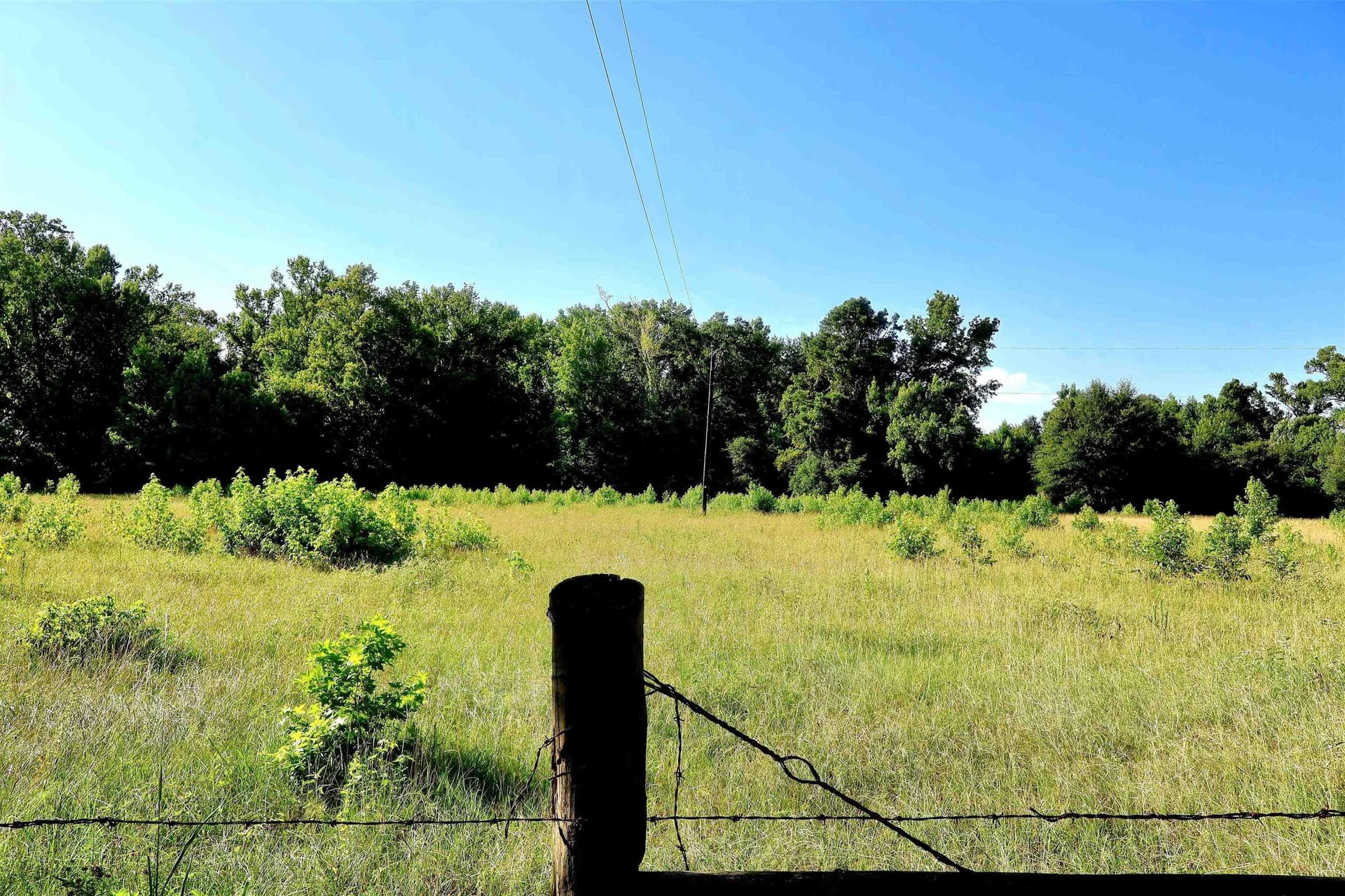50 acres in Smith County - photo 7