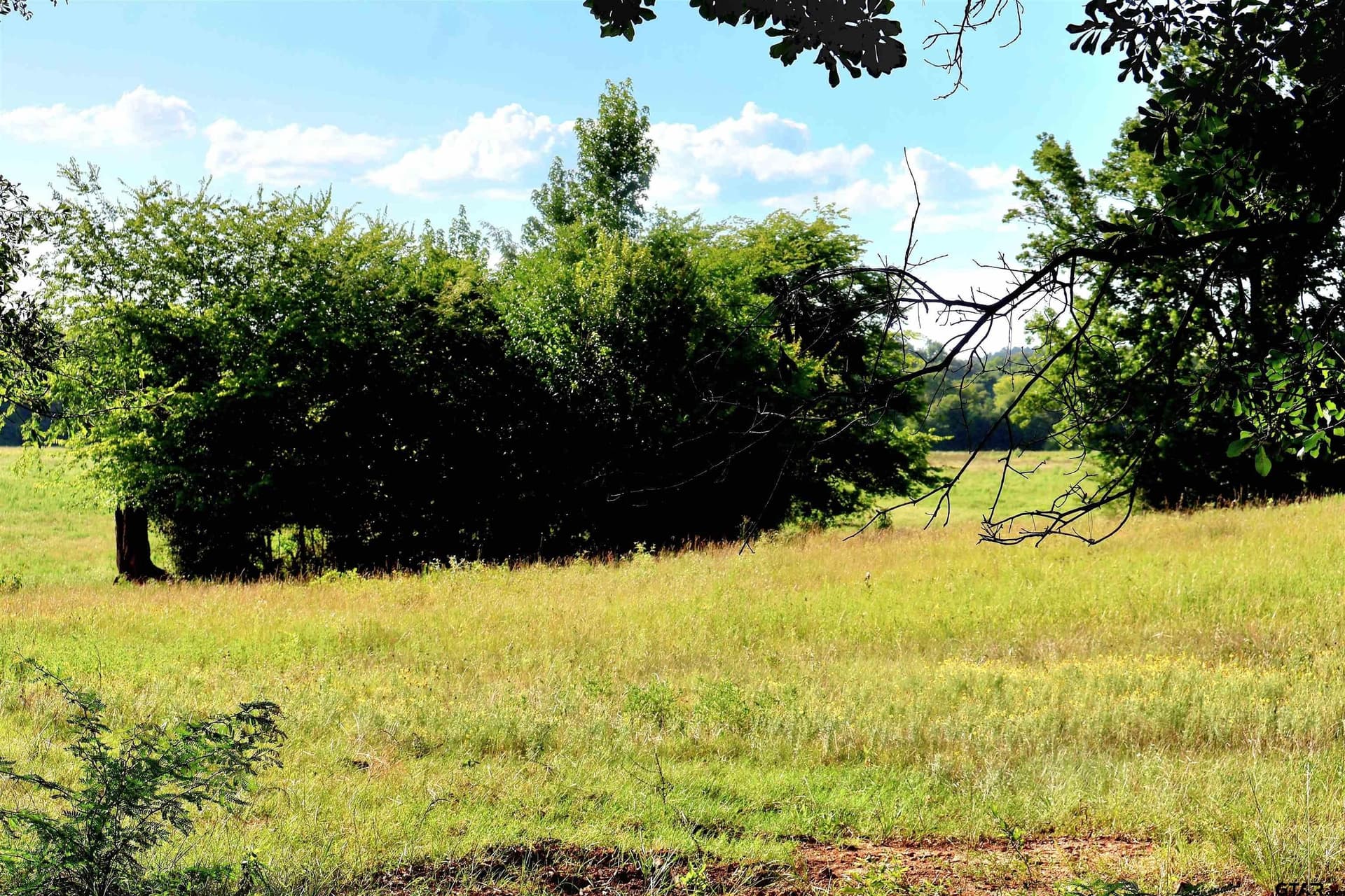 50 acres in Smith County gallery image 3