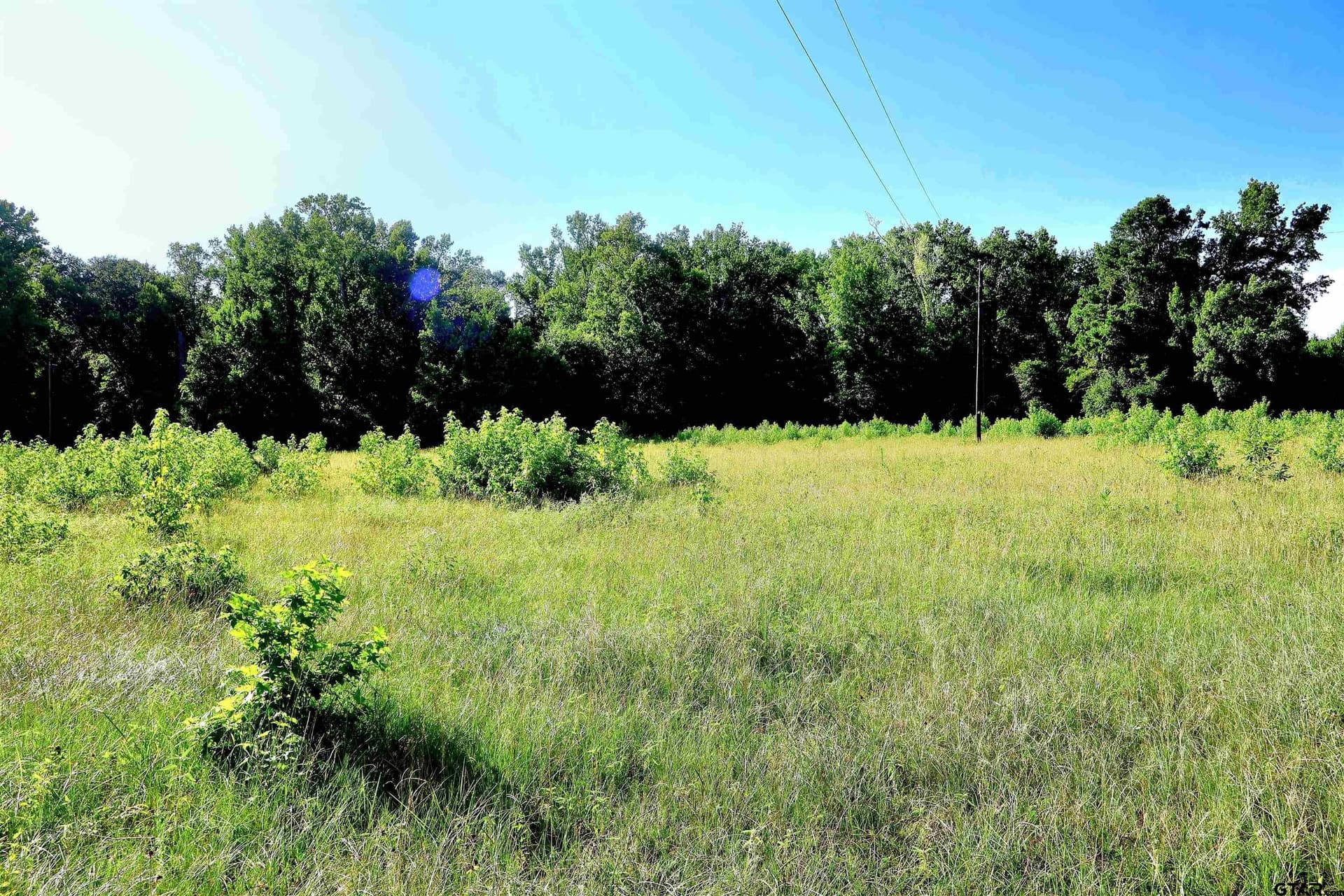 50 acres in Smith County - photo 9