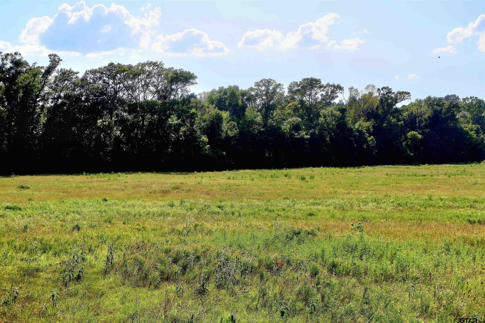 50 acres in Smith County featured view