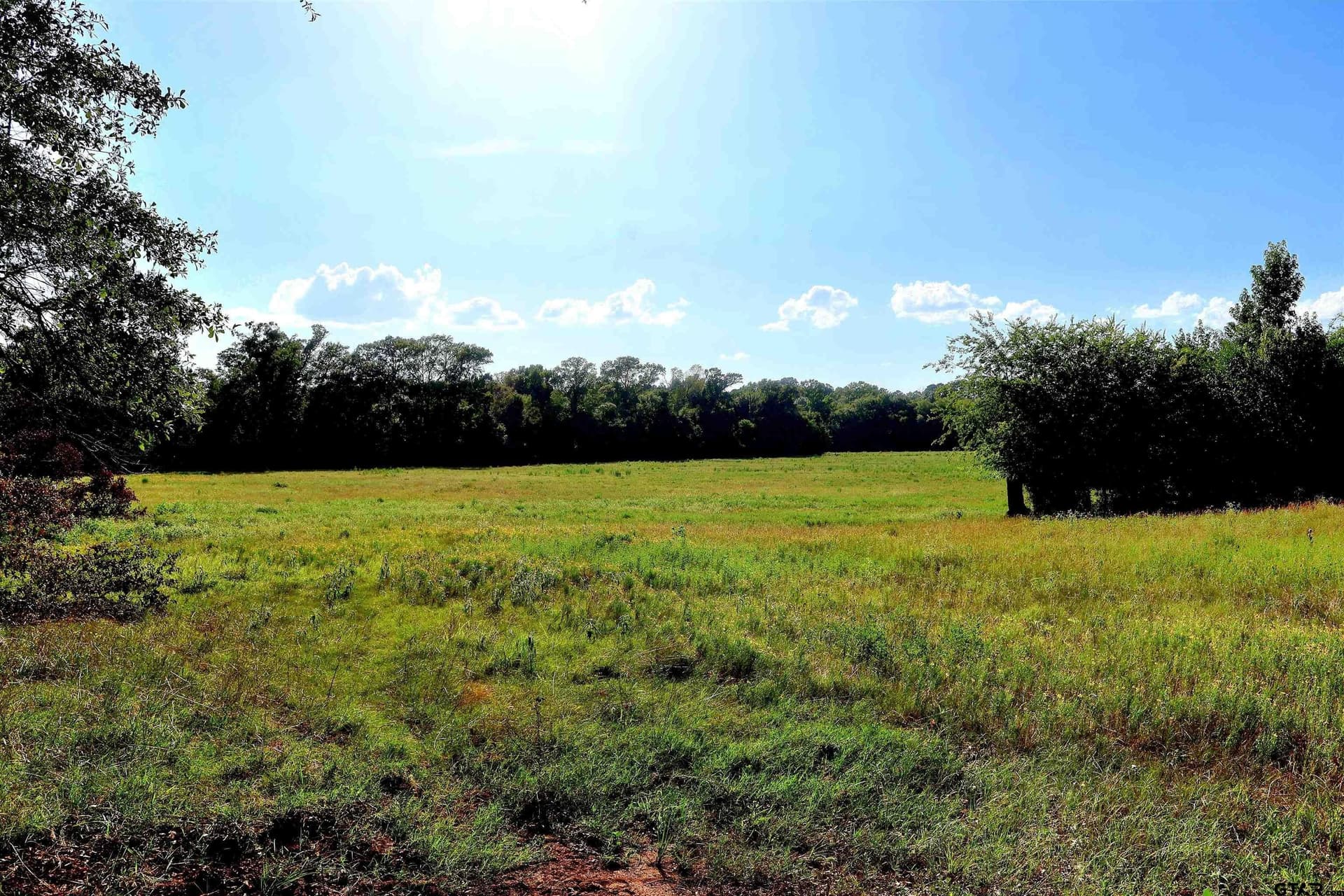 50 acres in Smith County gallery image 4