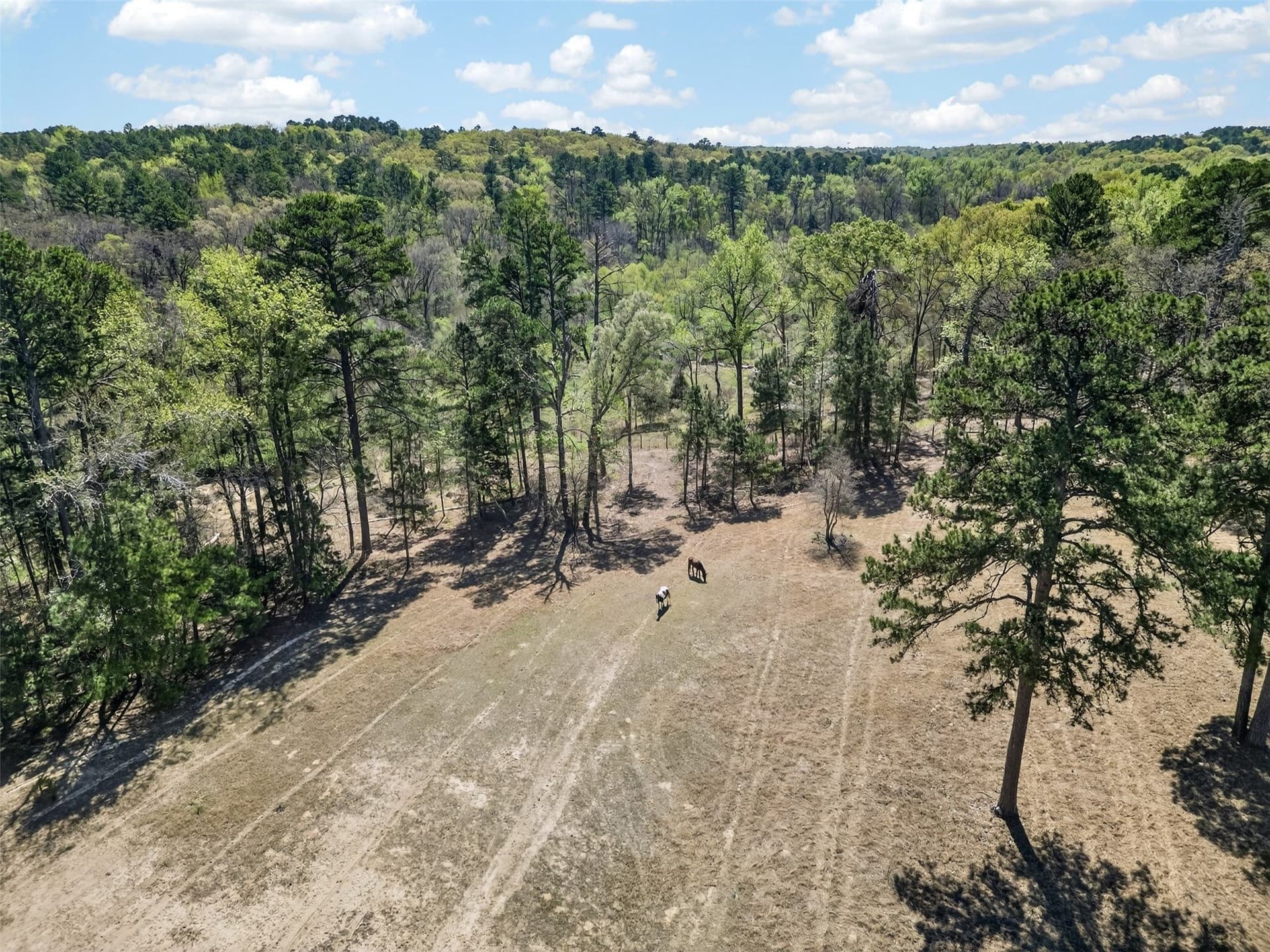 24.82 acres in Smith County - photo 9