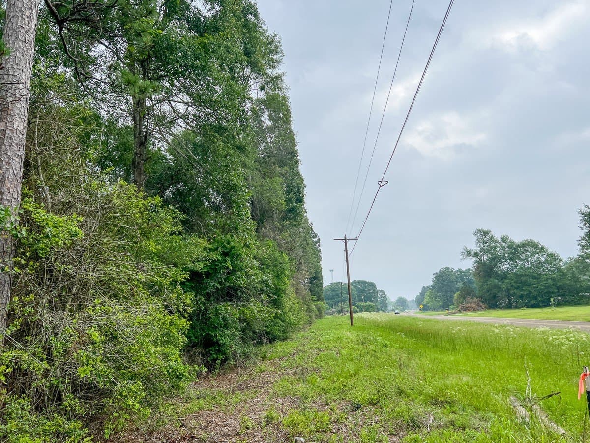341 acres in Angelina County - photo 3