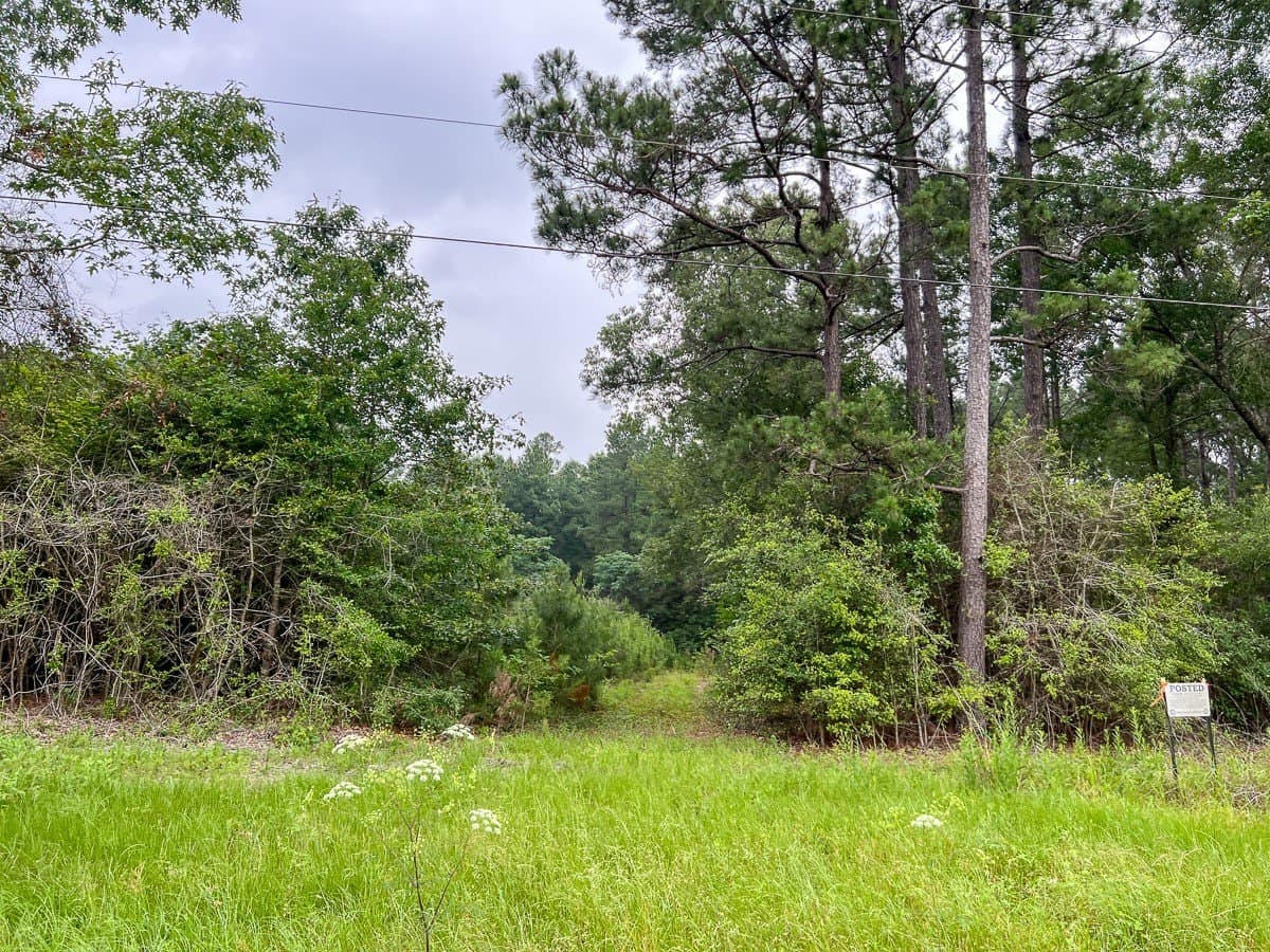 341 acres in Angelina County - photo 9