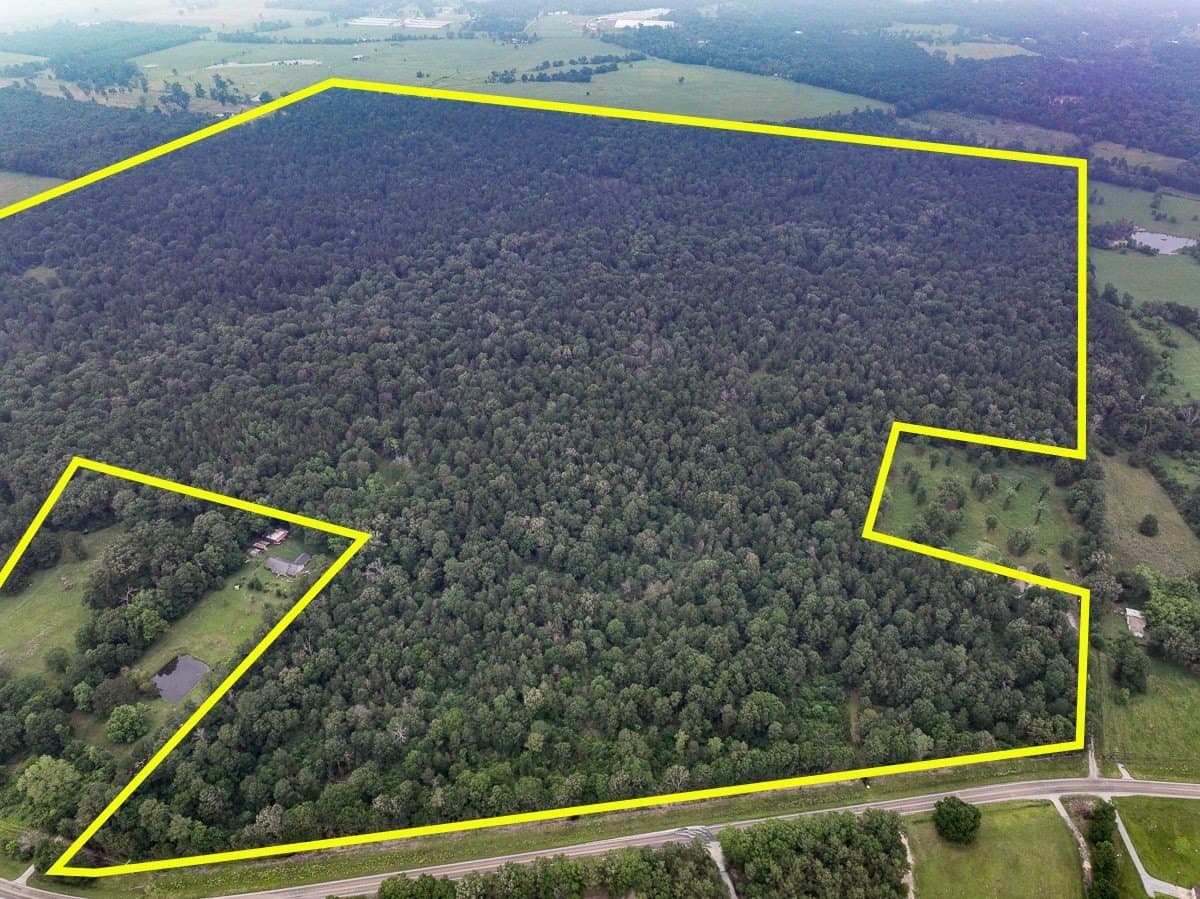 341 acres in Angelina County