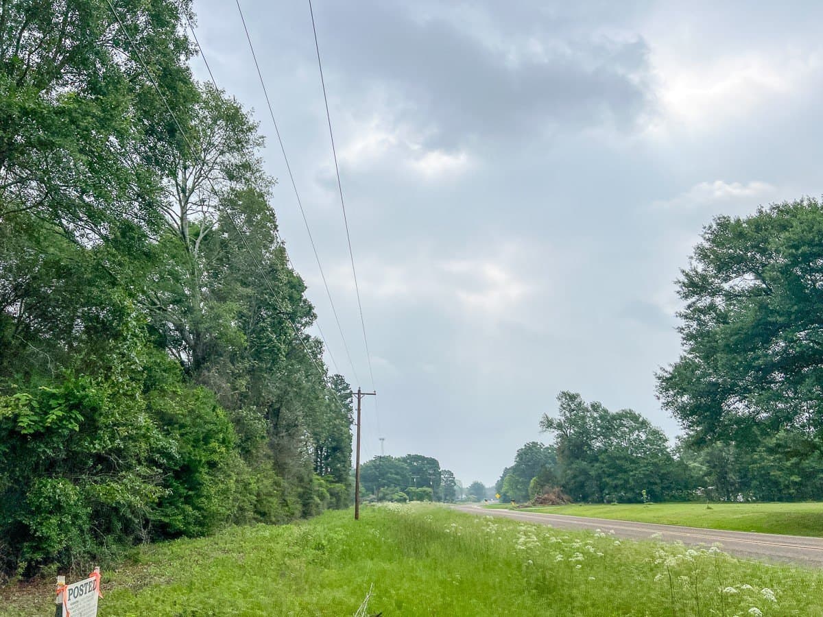 341 acres in Angelina County - photo 13