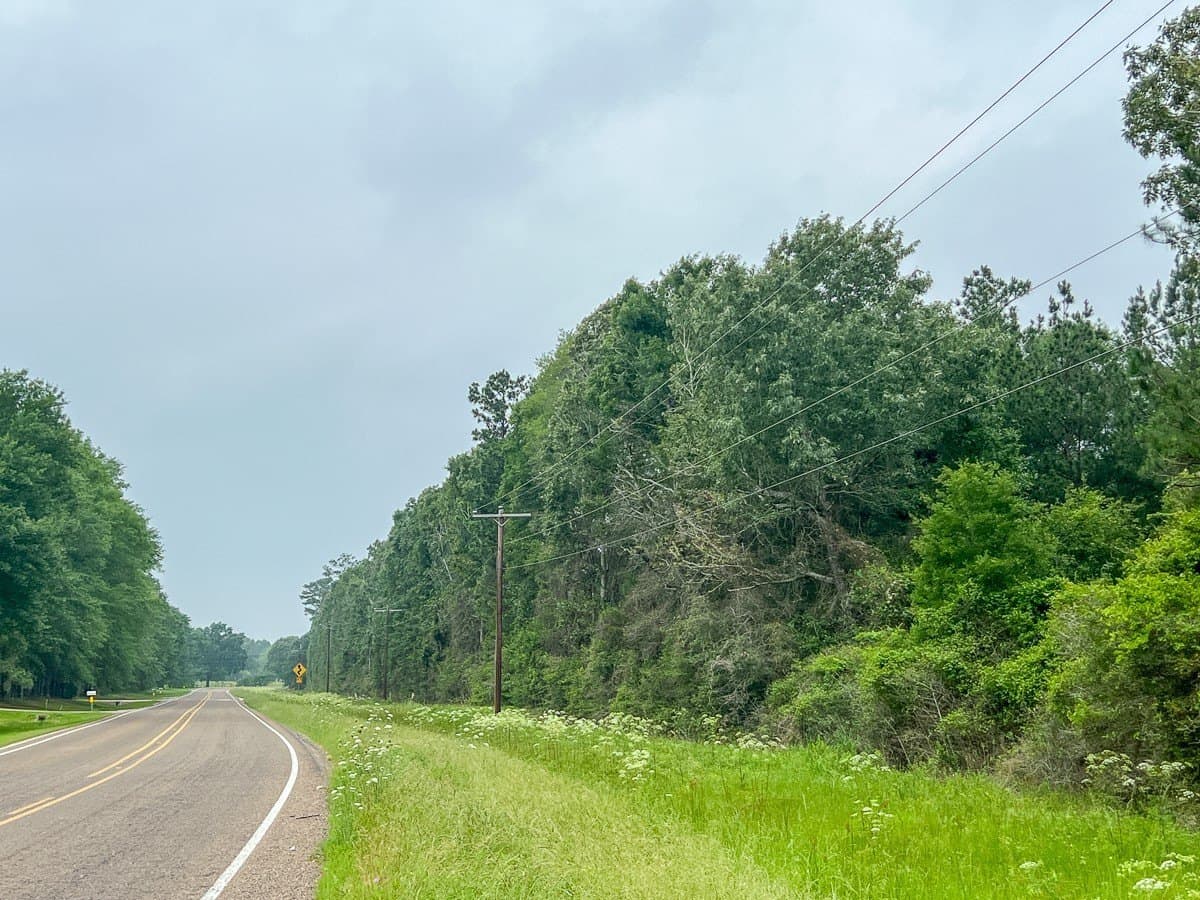 341 acres in Angelina County - photo 11