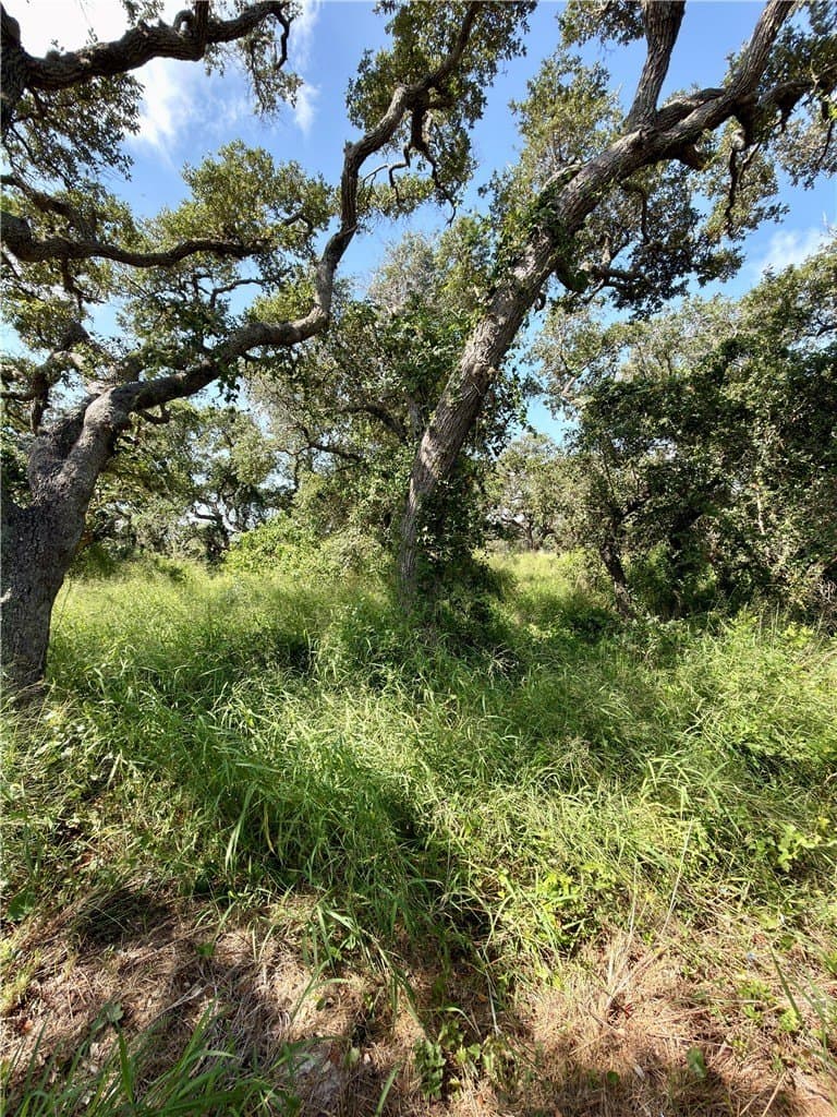 0.5 acres in Aransas County - photo 9