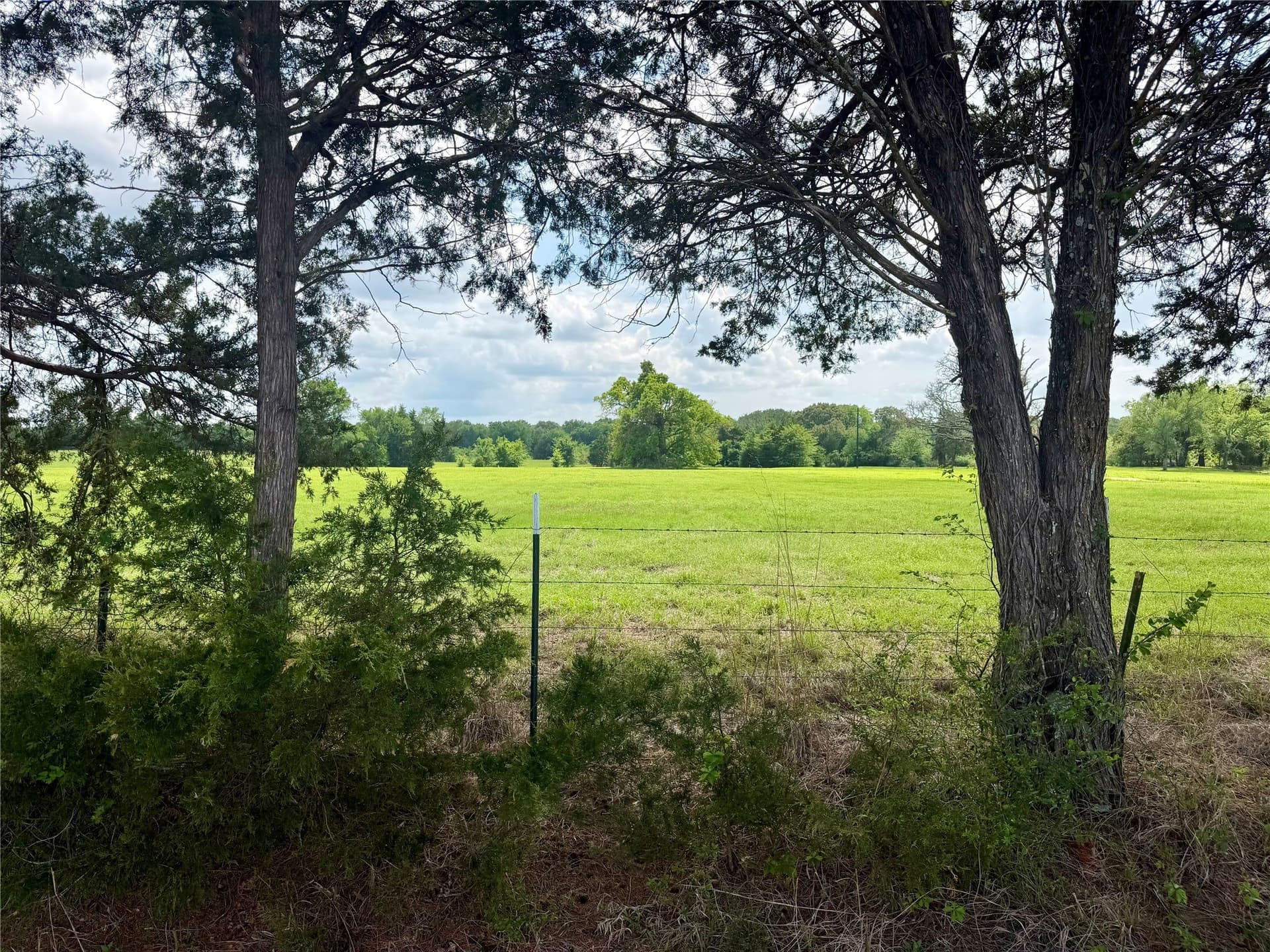 11.01 acres in Henderson County gallery image 3