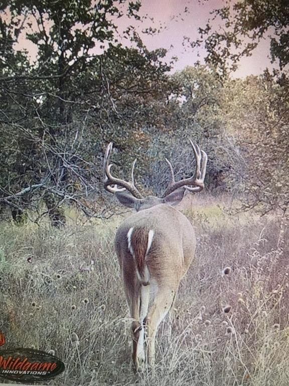 17.23 acres in Callahan County gallery image 4