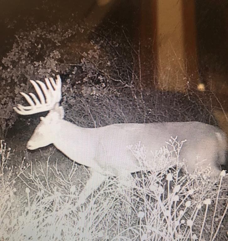 17.23 acres in Callahan County gallery image 2