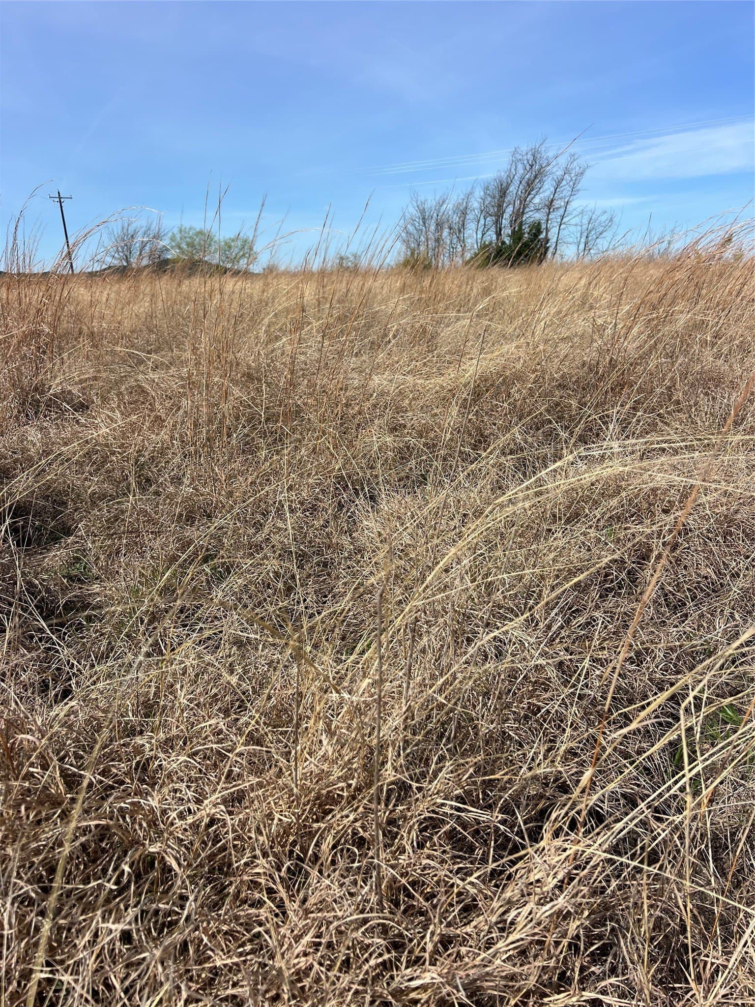 2.43 acres in Coryell County - photo 9