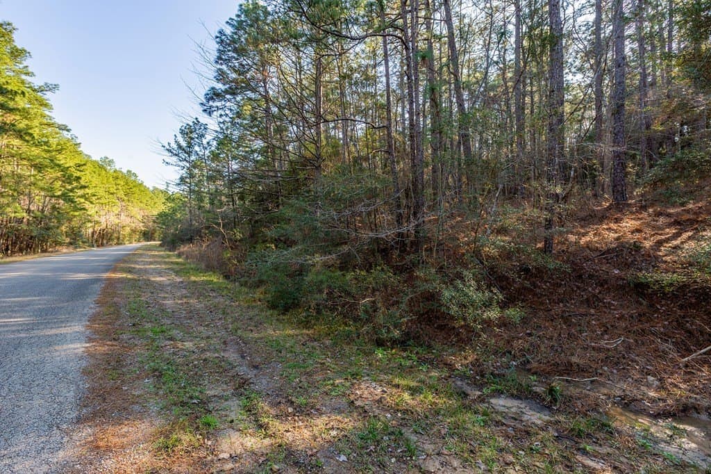 6.88 acres in Texas County - photo 10