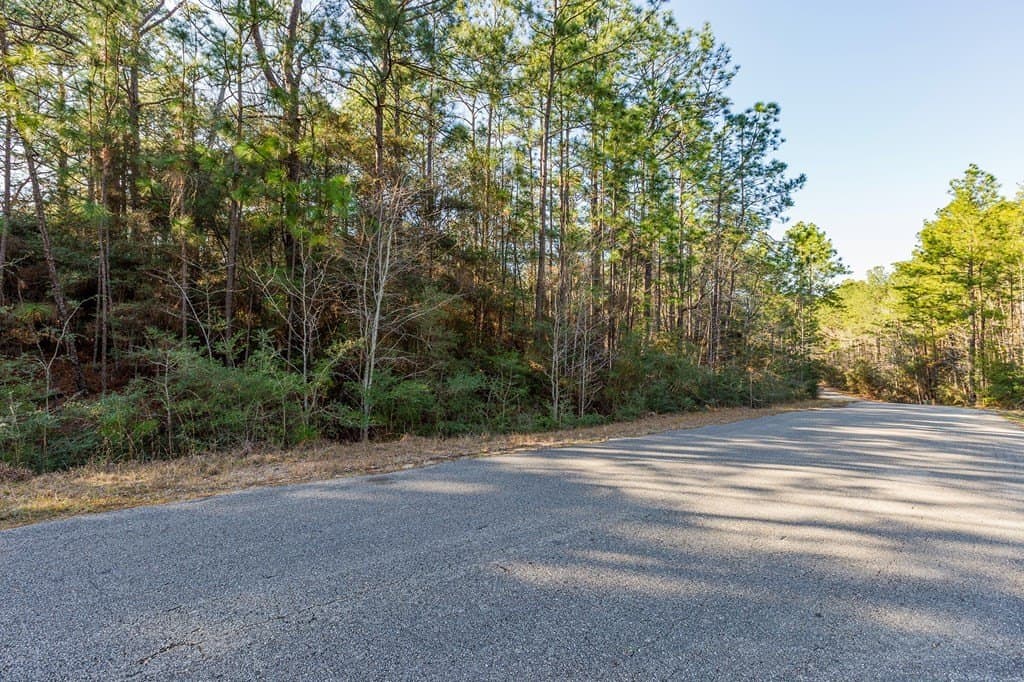 6.88 acres in Texas County - photo 9