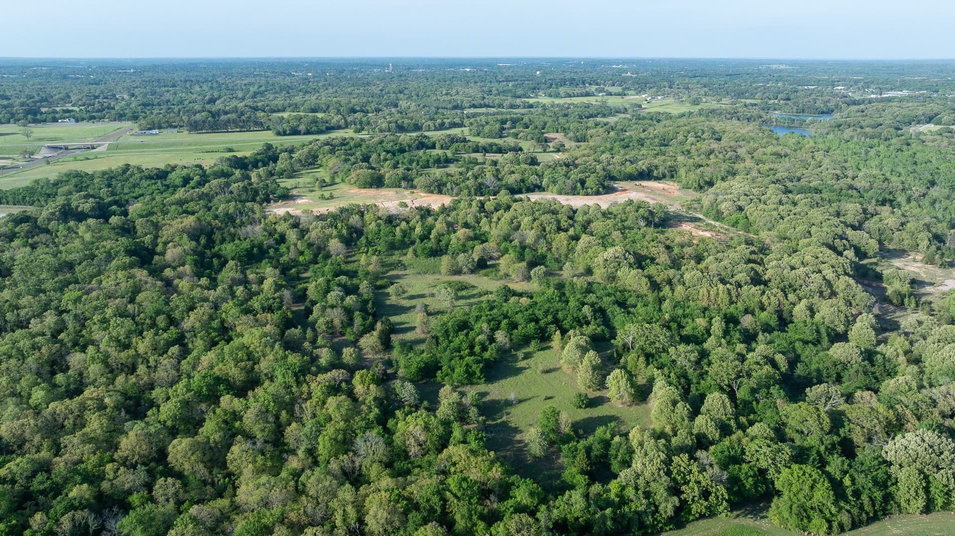 257 acres in Henderson County - photo 14